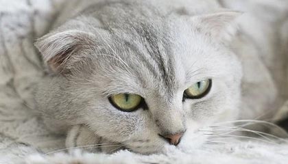 国内外球队相互交锋，角逐晋级名额