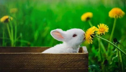 美国队逆转比利时前进女足八强